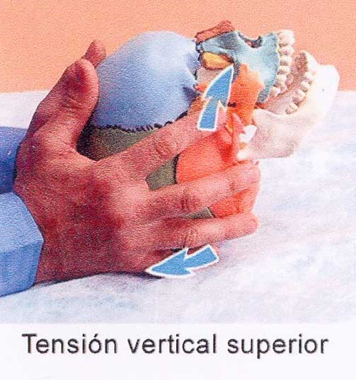 20-Tension vertical manos superior