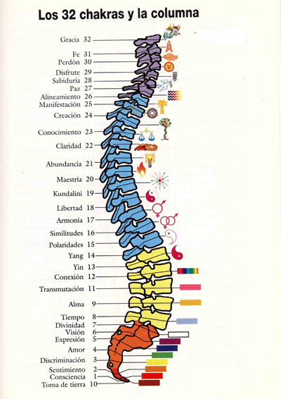 45-Comuna-vertebral-a-color